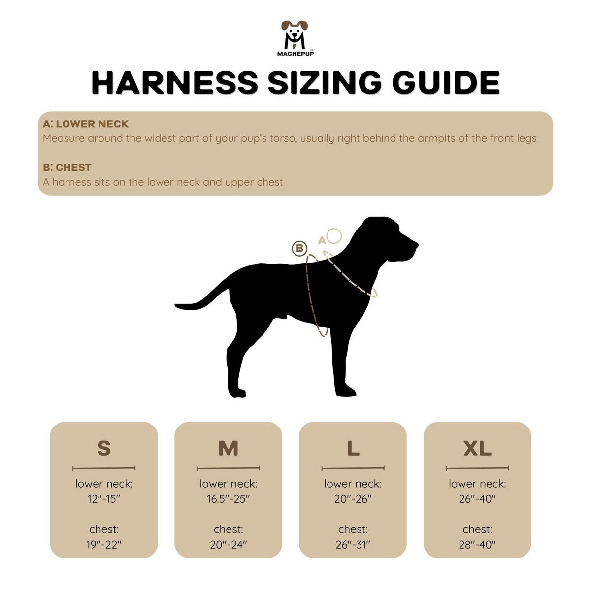 Standard Harness lifestyle photo with dog outdoors