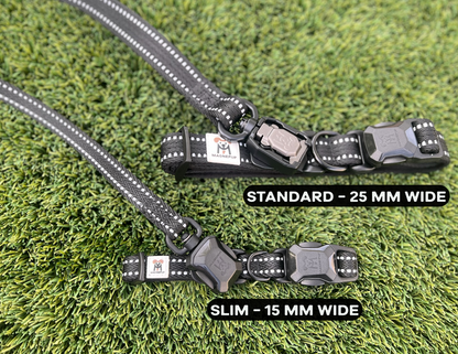 Standard CLICK & GO Collar lifestyle photo with dog outdoors