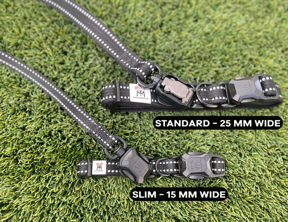 Slim CLICK & GO Collar lifestyle photo with dog outdoors