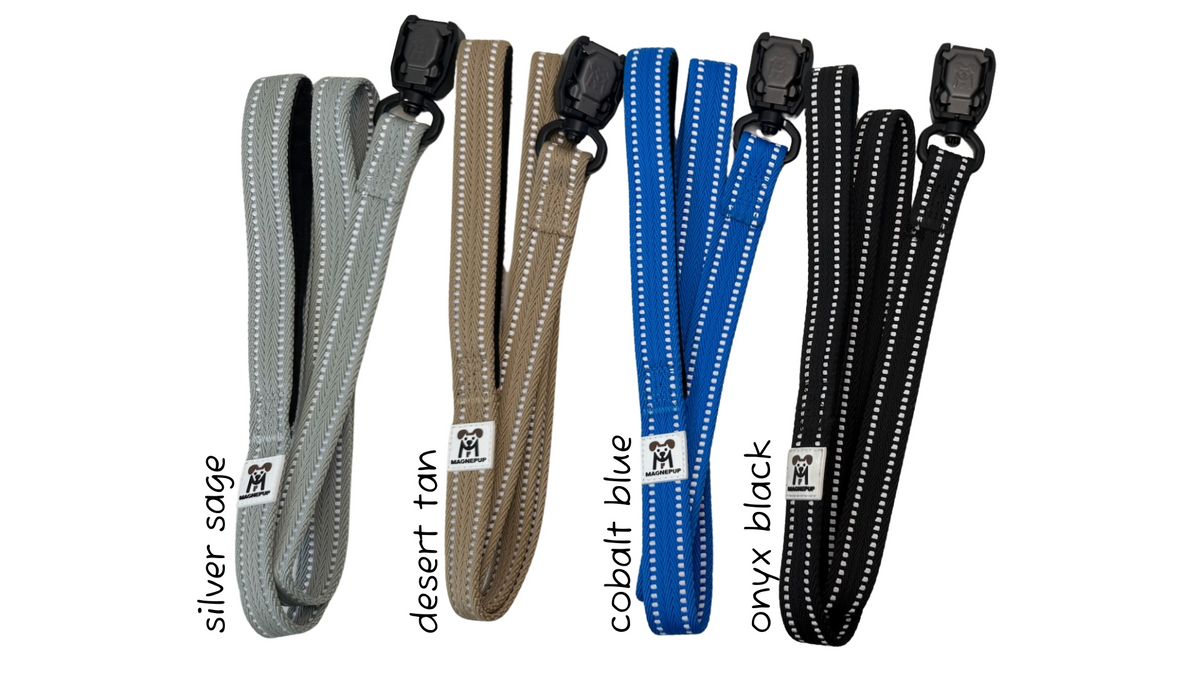 Standard CLICK & GO 4ft Leash lifestyle photo with dog outdoors