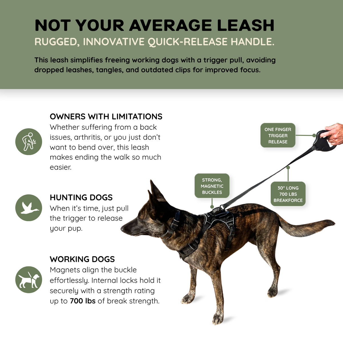 K9 Quick Release Leash lifestyle photo with working dog