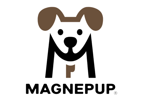 MAGNEPUP