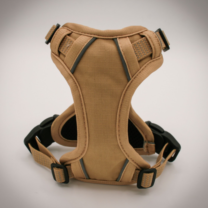 Small dog wearing the MAGNEPUP XS Harness