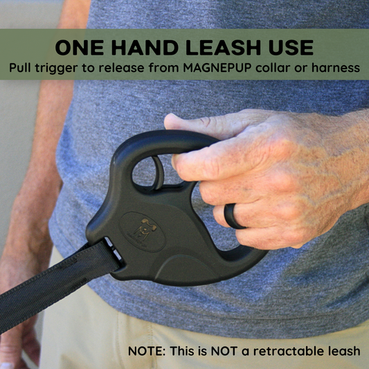 K9 Quick Release Leash buckle detail