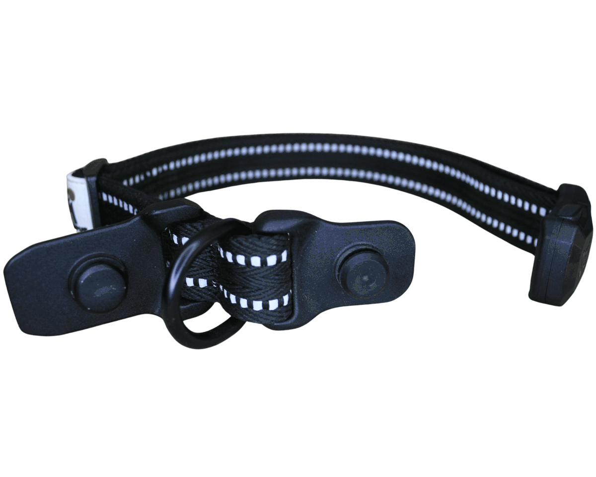 How the MAGNEPUP buckle clicks together