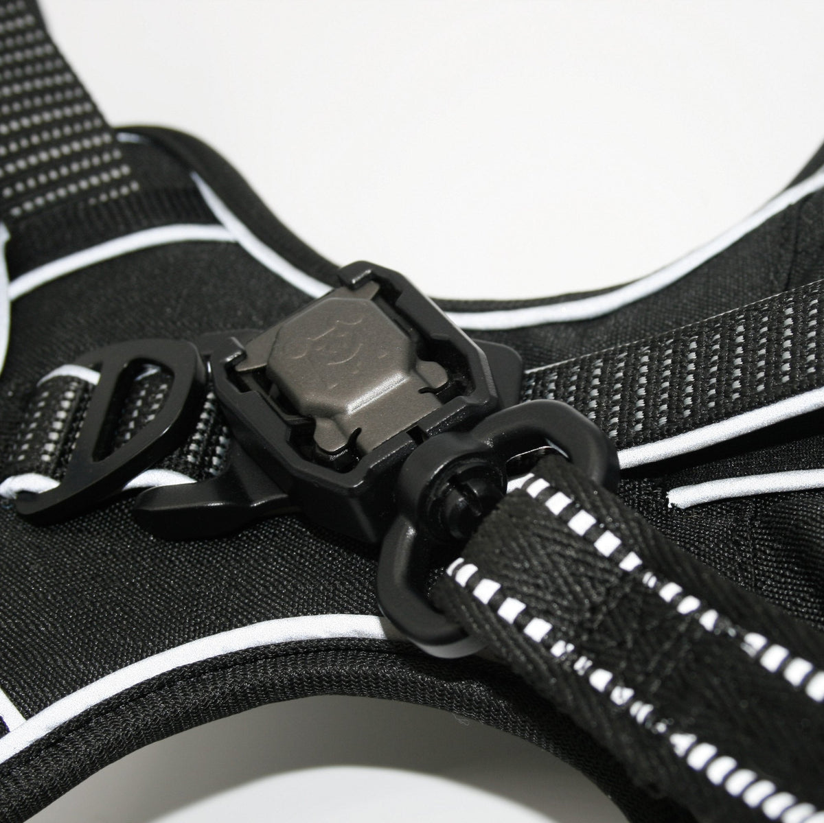 Standard harness and leash set in Onyx Black