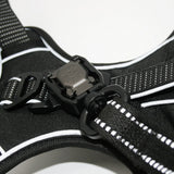 Standard harness and leash set in Onyx Black