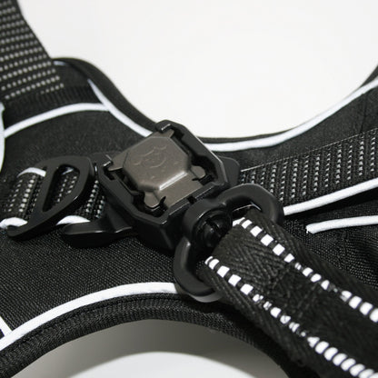Standard harness and leash set in Onyx Black
