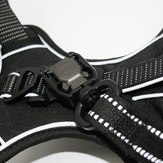 Standard harness and leash set in Onyx Black