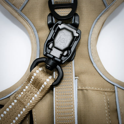 Standard harness and leash set in Desert Tan