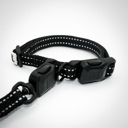 Slim collar and leash set in Onyx Black