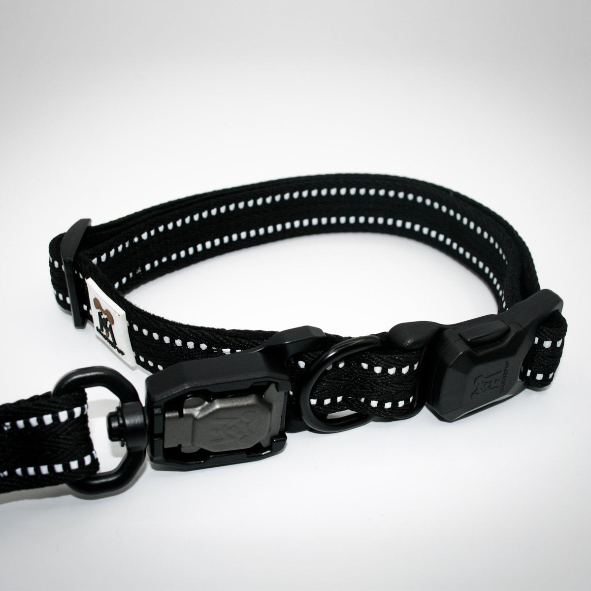 Standard collar and leash set in Onyx Black