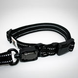 Standard collar and leash set in Onyx Black