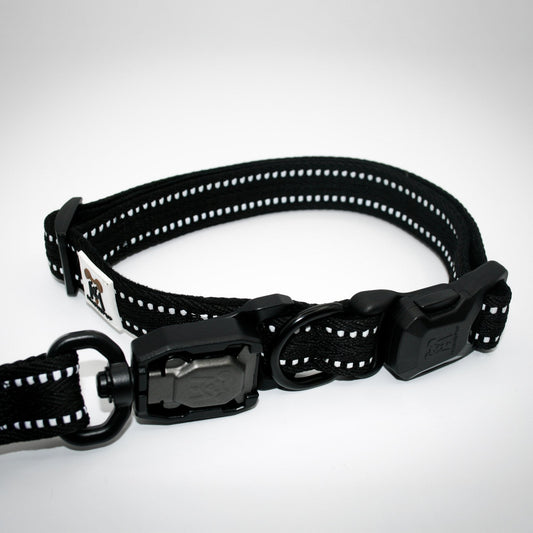 Standard collar and leash set in Onyx Black