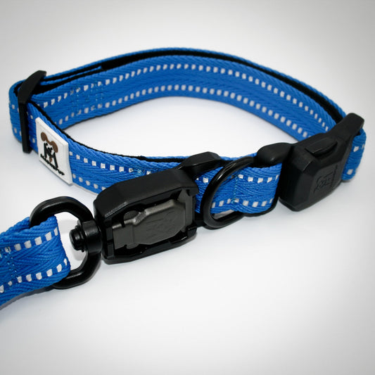 Standard collar and leash set in Cobalt Blue