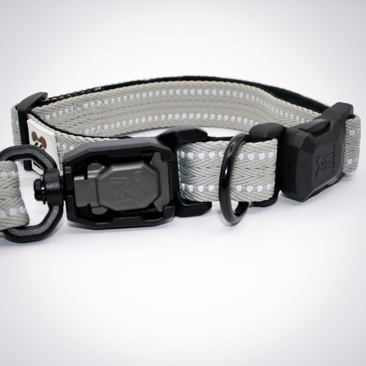 Standard collar and leash set in Silver Sage