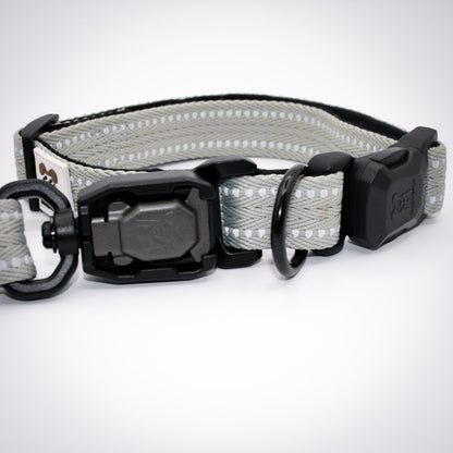 Standard collar and leash set in Silver Sage