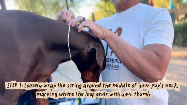 Load video: Step-by-step measuring with a piece of string.