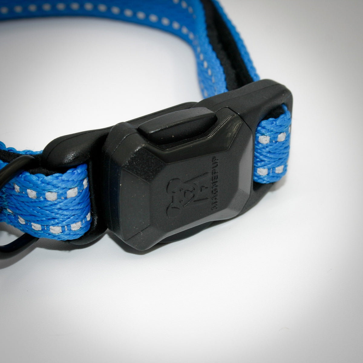 Cobalt Blue Slim collar — magnetic buckle closed