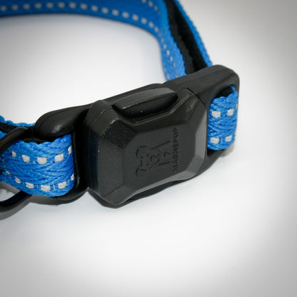 Cobalt Blue Slim collar — magnetic buckle closed