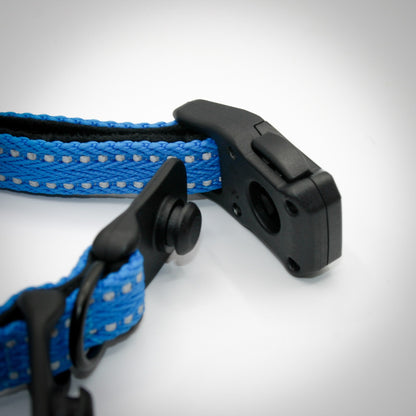 Cobalt Blue Slim collar — buckle open