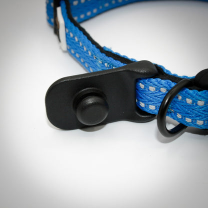 Cobalt Blue Slim leash clicked onto the Slim collar