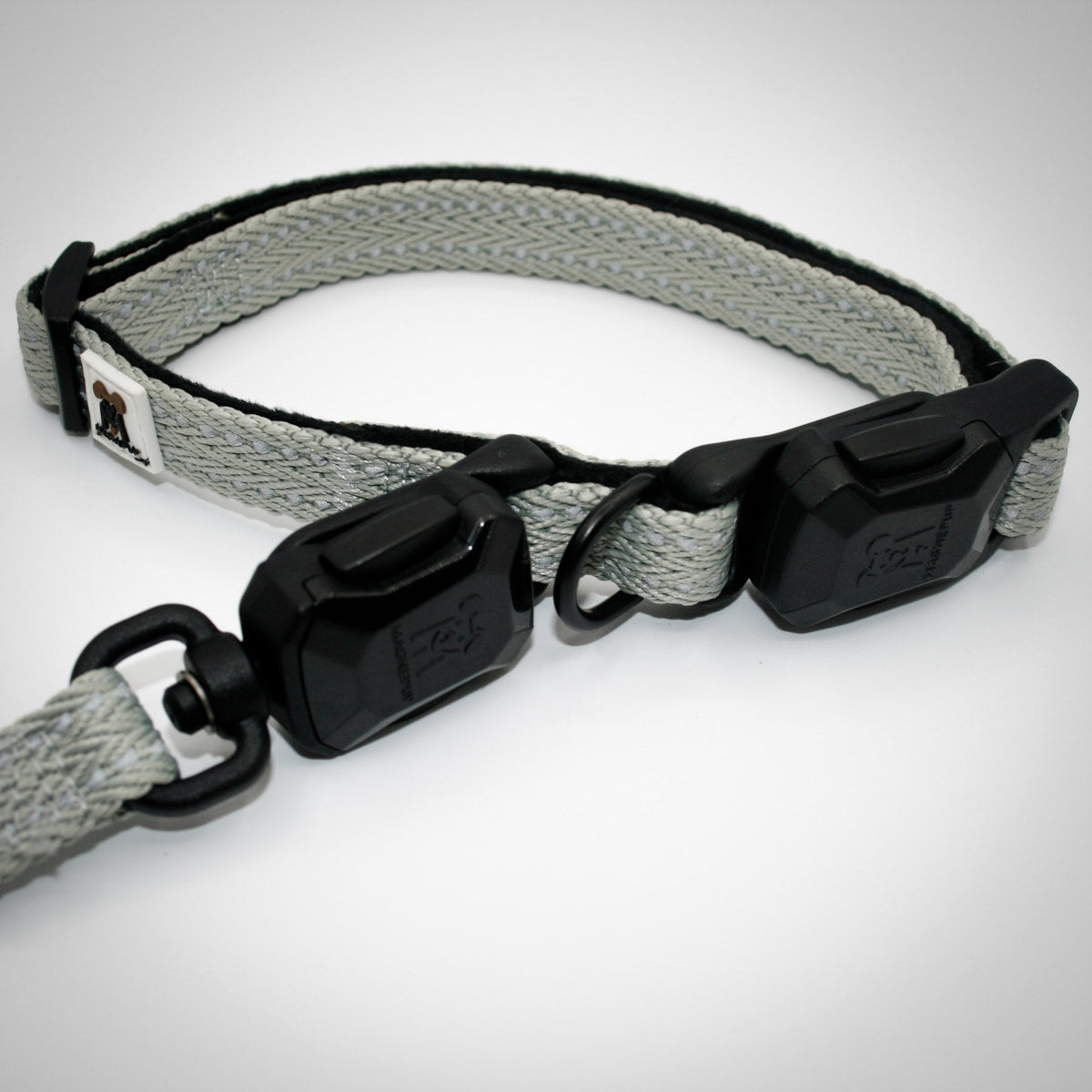Silver Sage Slim leash and collar on a German Shorthaired Pointer