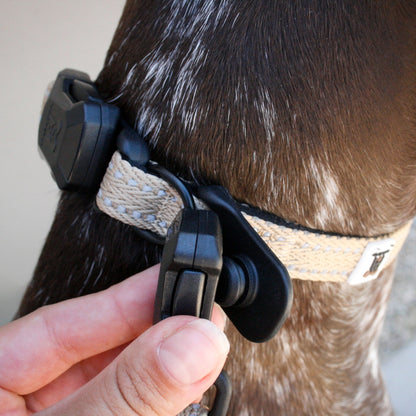 Desert Tan Slim collar — magnetic buckle closed