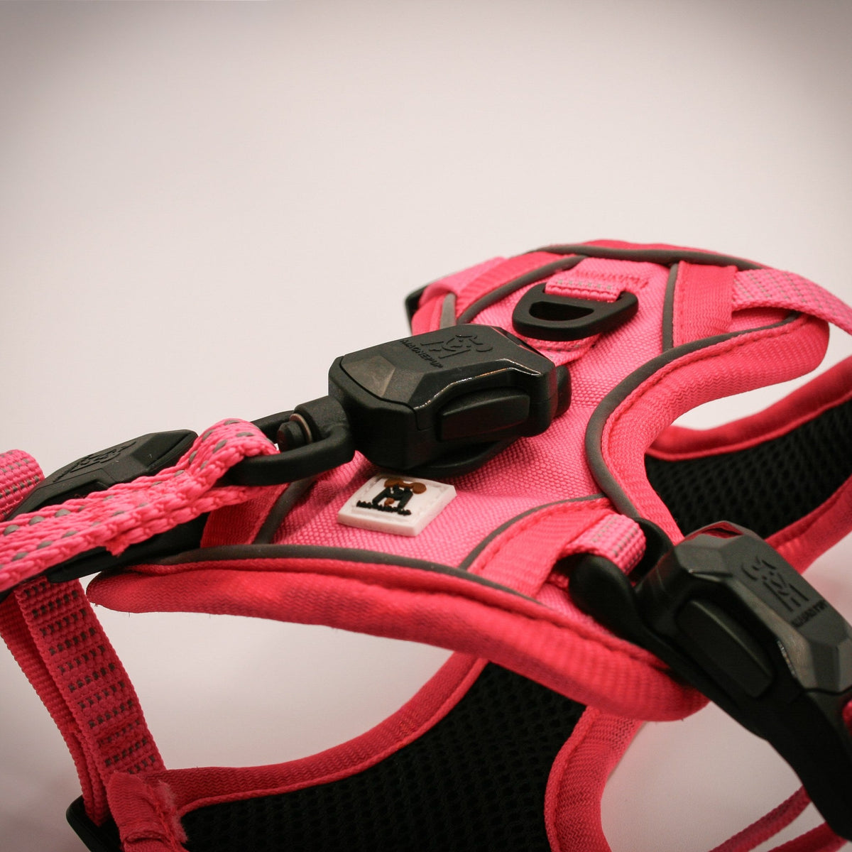 Pink Slim leash attached to the Pink XS harness