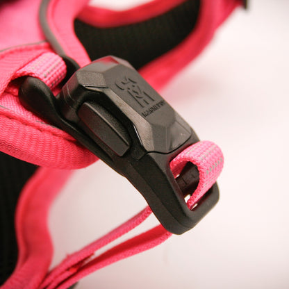 Pink Slim leash clicking onto the XS harness