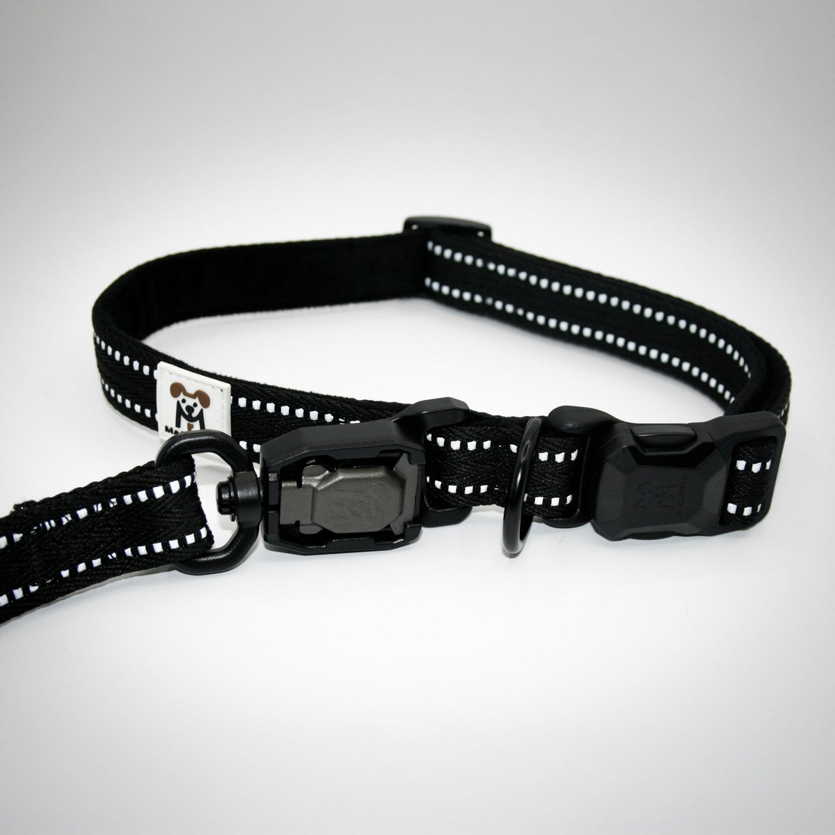 Onyx Black Standard collar and leash on a German Shorthaired Pointer