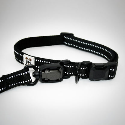 Onyx Black Standard collar and leash on a German Shorthaired Pointer