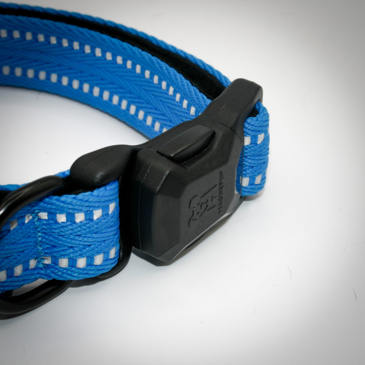 Cobalt Blue Standard collar — magnetic buckle closed