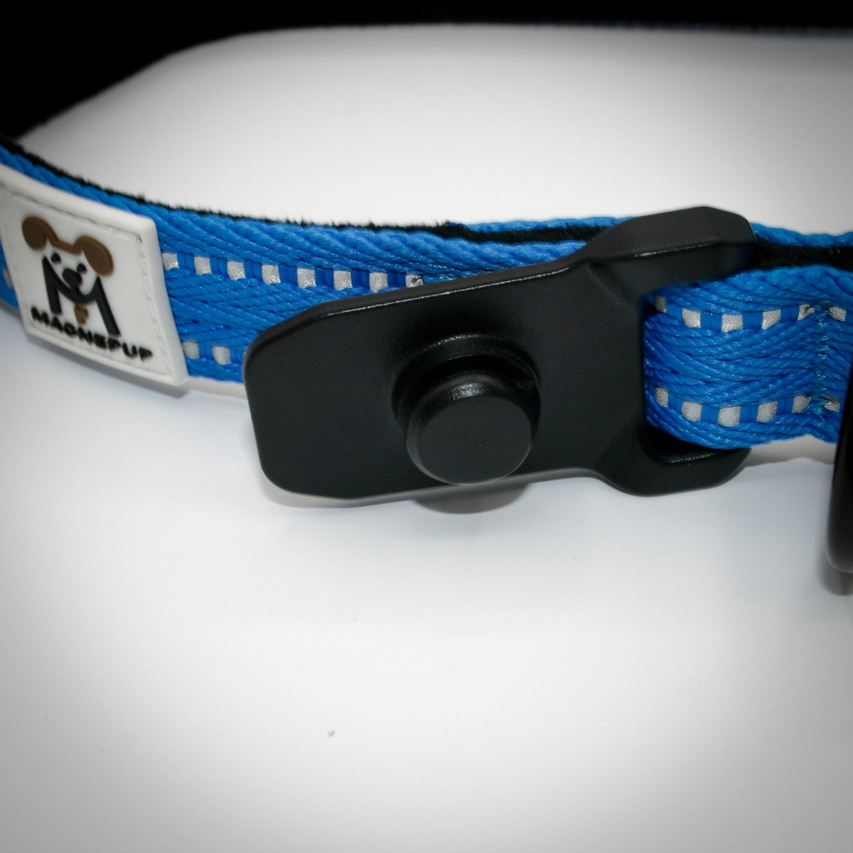 Cobalt Blue Standard collar with the Standard leash clicked on