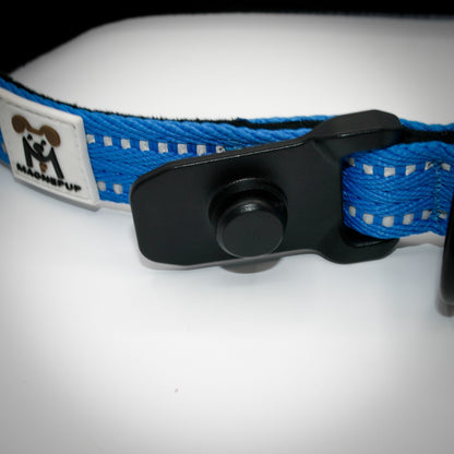 Cobalt Blue Standard leash clicked onto the Standard collar