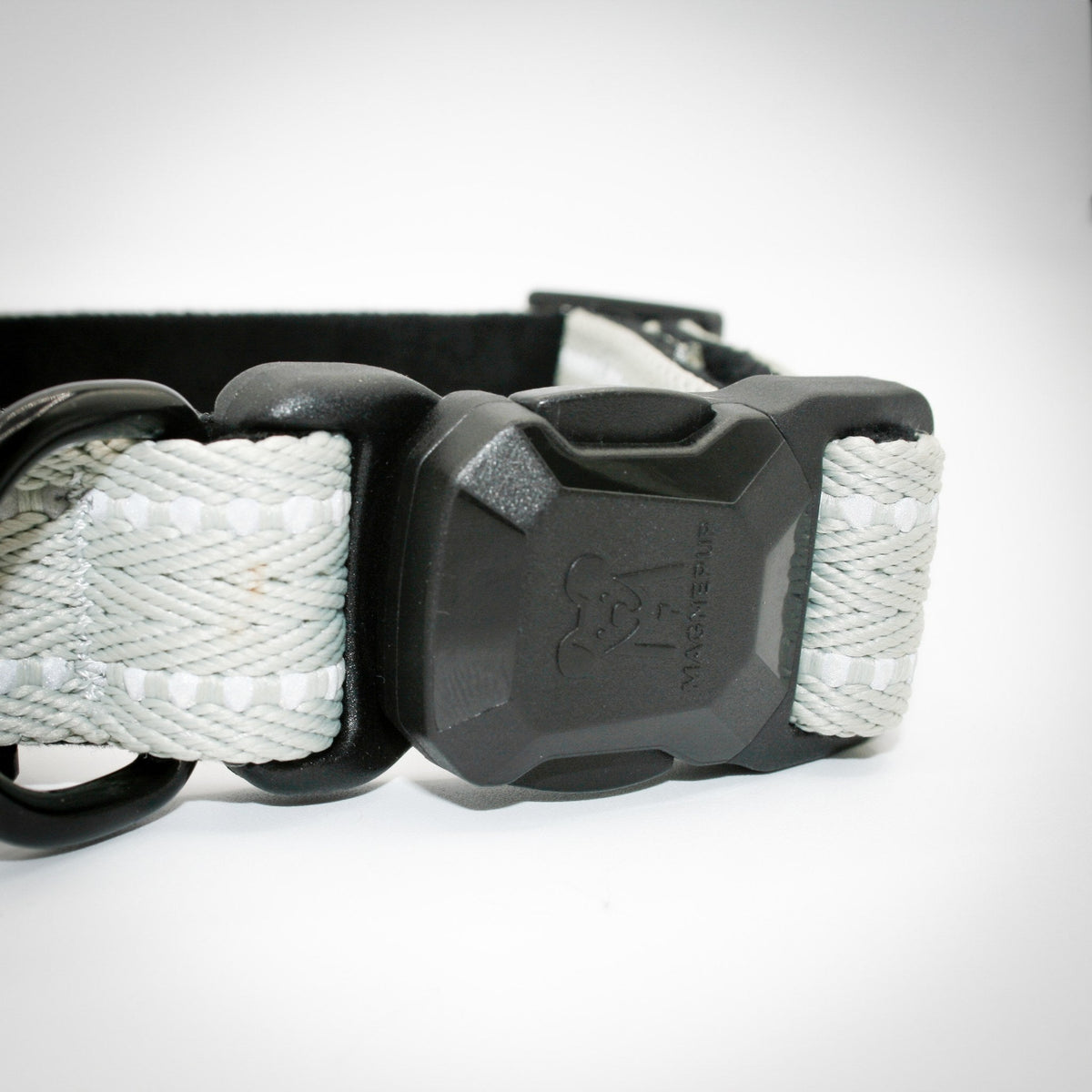 Silver Sage Standard collar — magnetic buckle closed