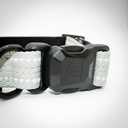 Silver Sage Standard collar — magnetic buckle closed