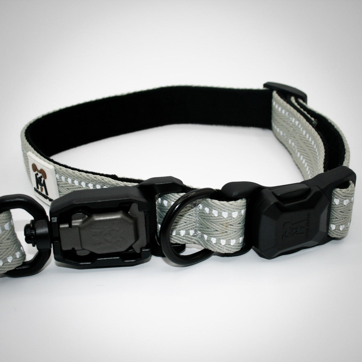 Silver Sage Standard leash and collar on a German Shorthaired Pointer