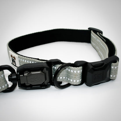 Silver Sage Standard leash and collar on a German Shorthaired Pointer