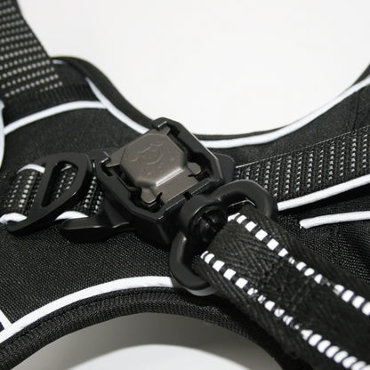 Onyx Black Standard leash clicked onto the Standard harness