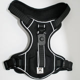 Standard Harness with Waste Bag in Onyx Black