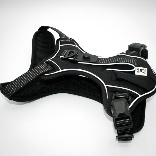 Onyx Black Standard Harness — side view