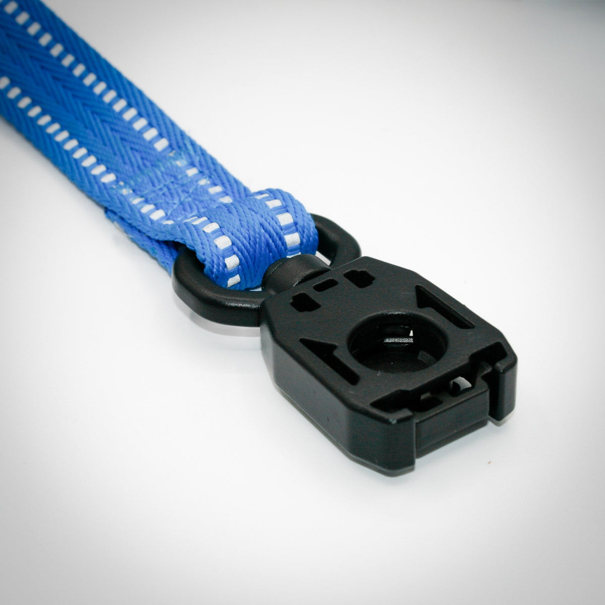 Cobalt Blue Standard leash — buckle, top view