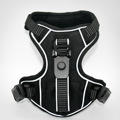 XS Harness