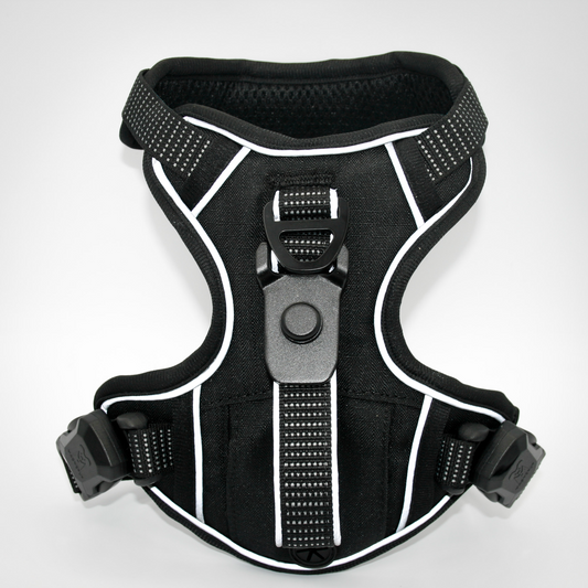 XS Harness